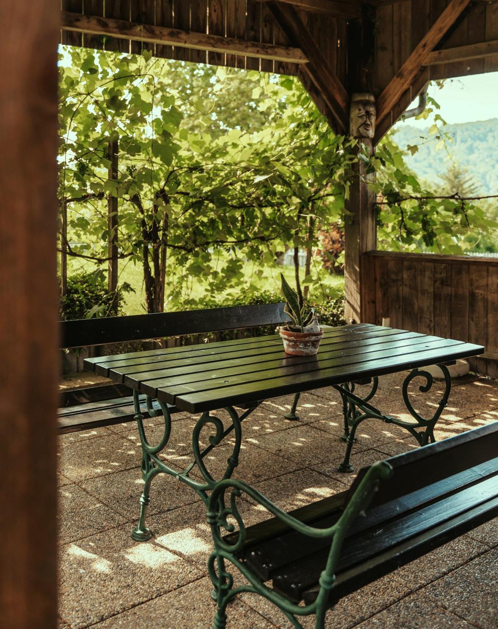 Ferienwohnungen Karin Am Seggauberg Leibnitz Kamer foto