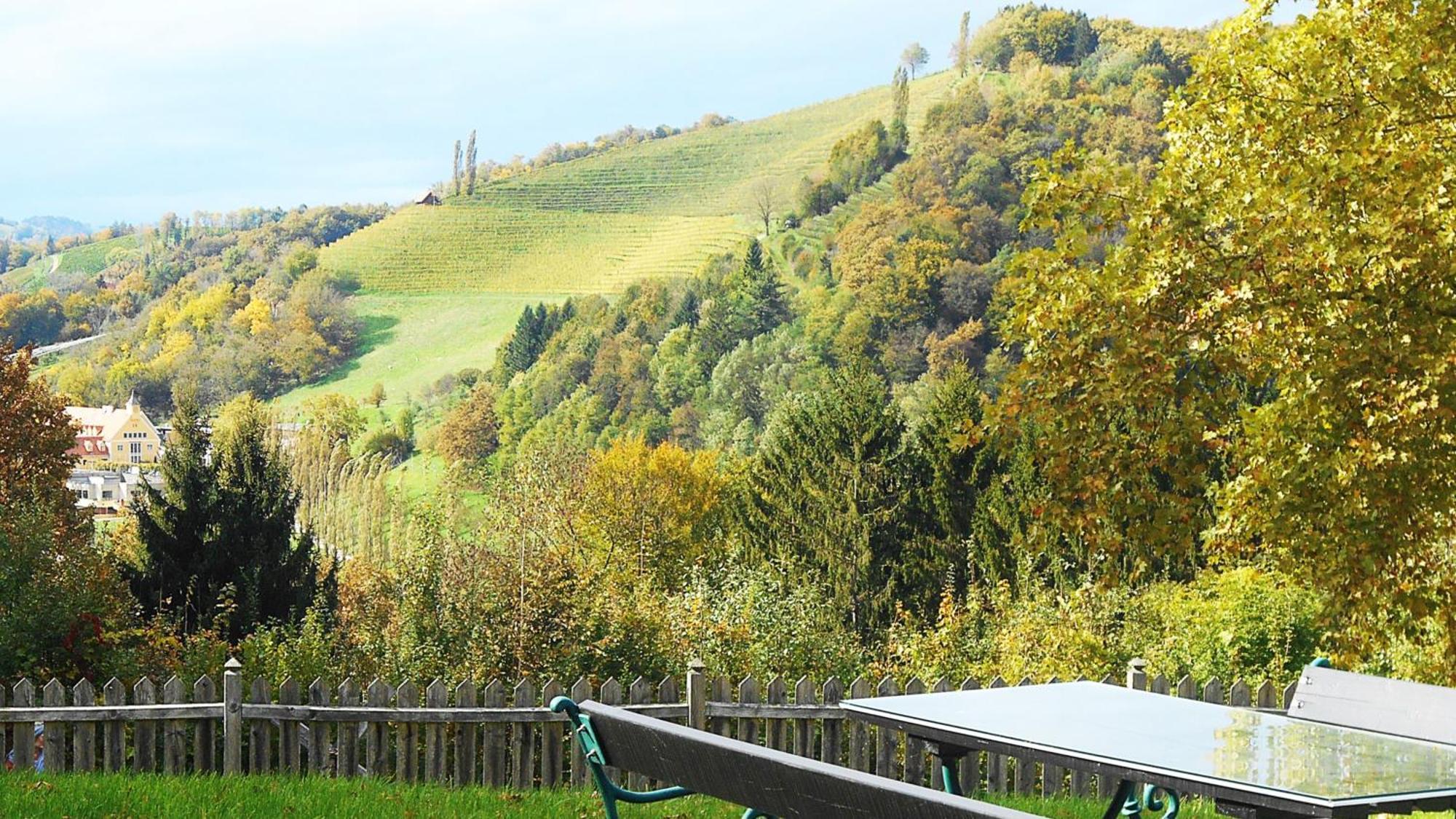 Ferienwohnungen Karin Am Seggauberg Leibnitz Buitenkant foto