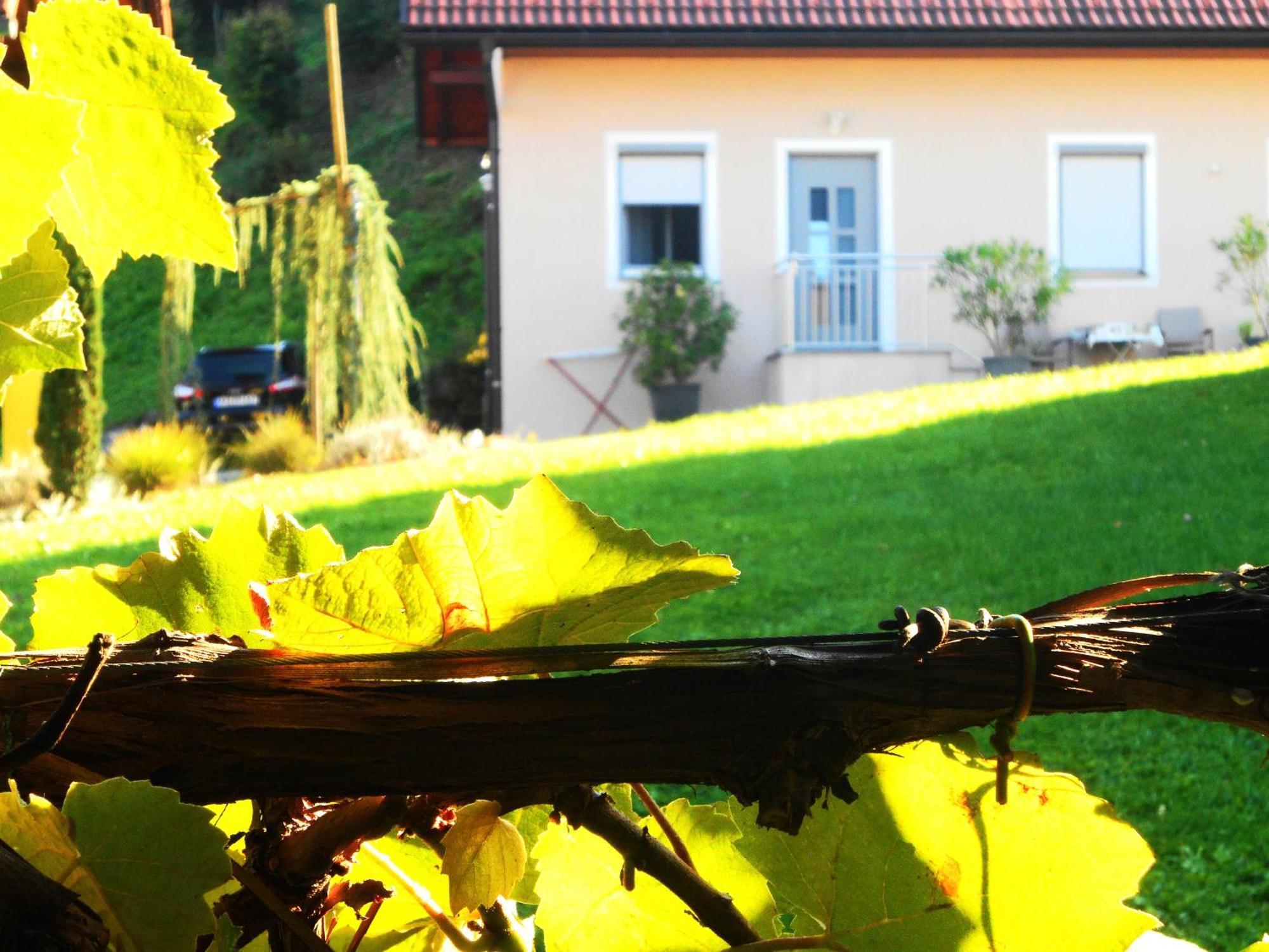 Ferienwohnungen Karin Am Seggauberg Leibnitz Buitenkant foto