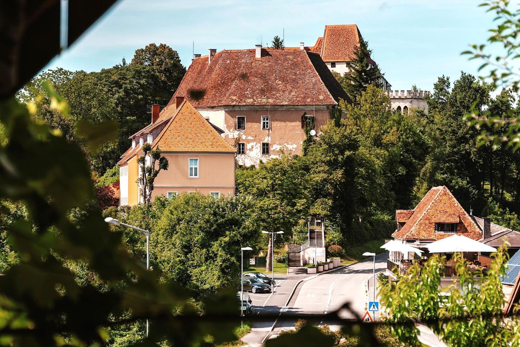 Ferienwohnungen Karin Am Seggauberg Leibnitz Buitenkant foto