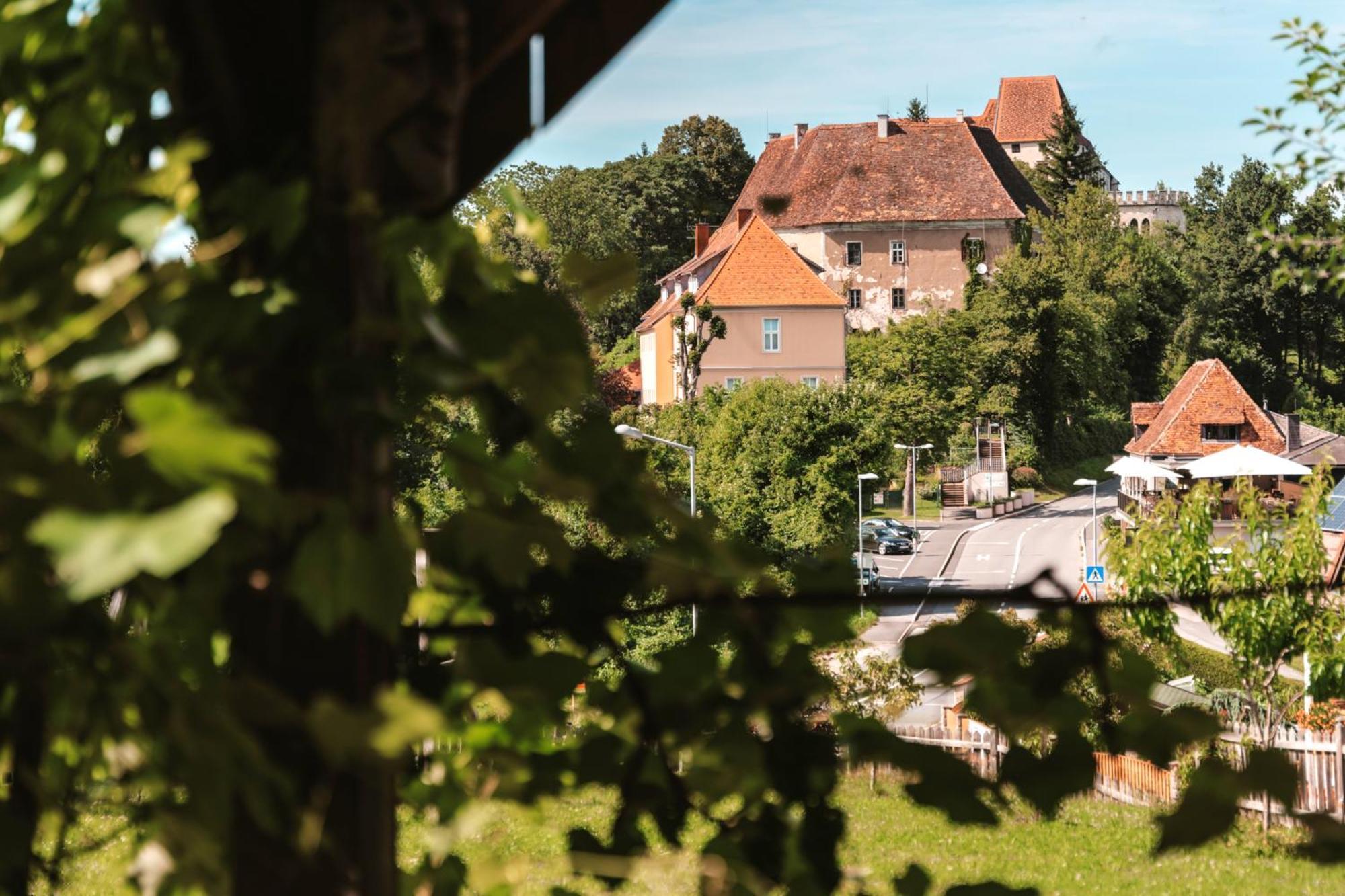 Ferienwohnungen Karin Am Seggauberg Leibnitz Buitenkant foto
